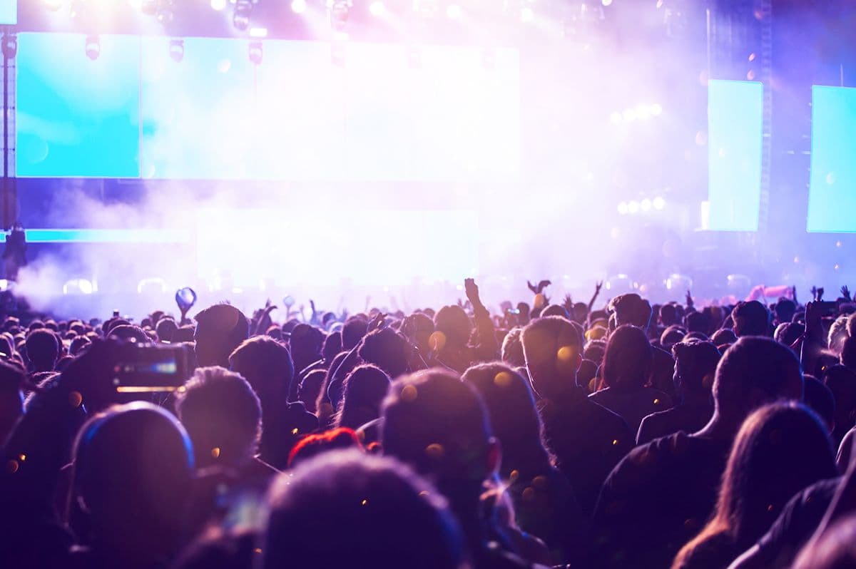 Grow your audience